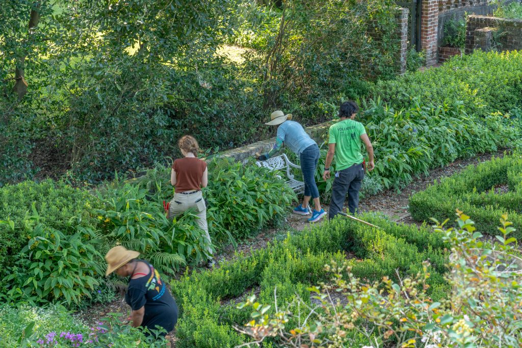 Teen Volunteer Program
